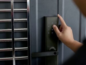 Vulnerabilities of Smart Locks